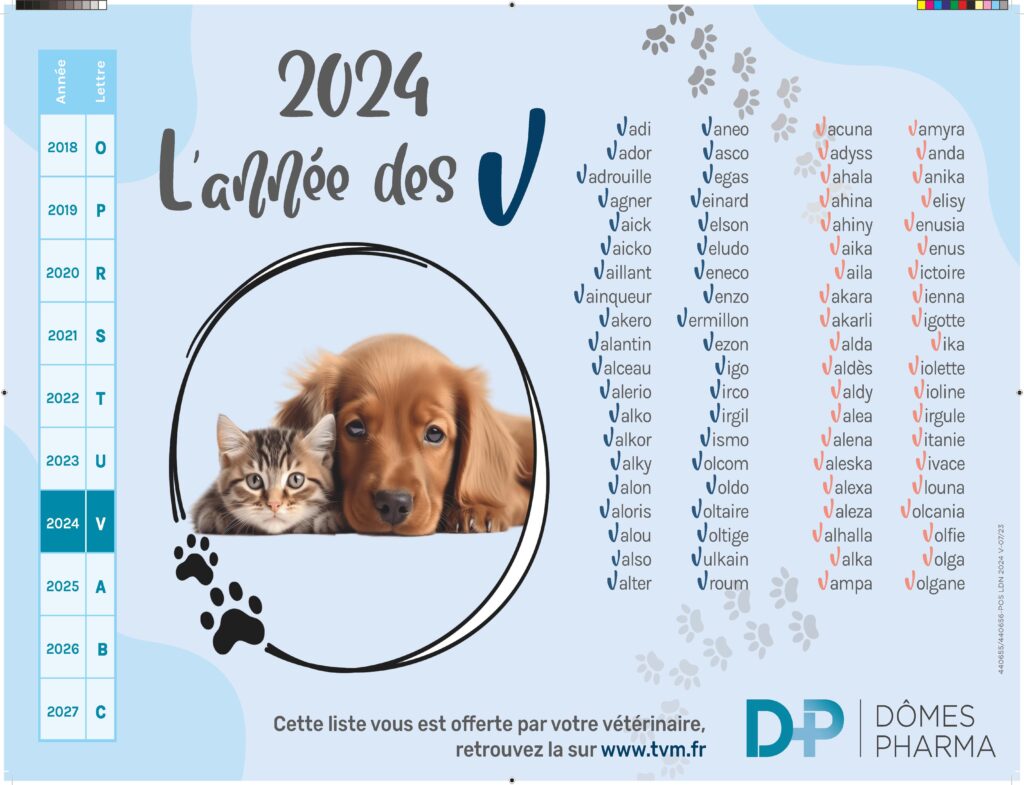 prénom femelle chat 2024